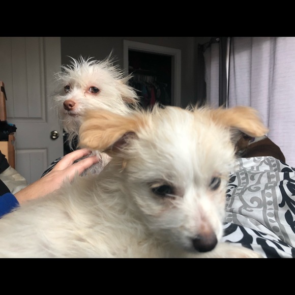 beckylynn0417